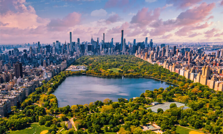 New York City Lawyer central park image